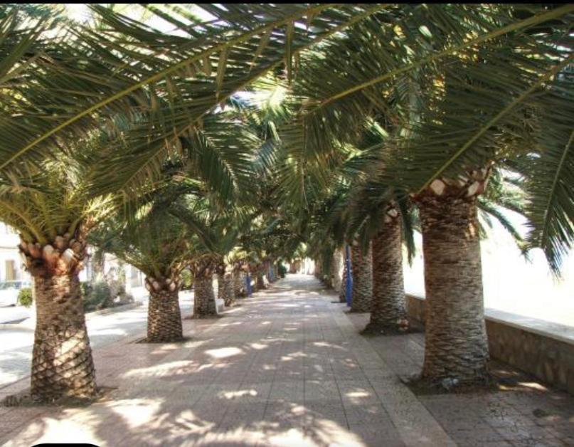 Vcc Home'S El Puerto de Mazarrón 외부 사진